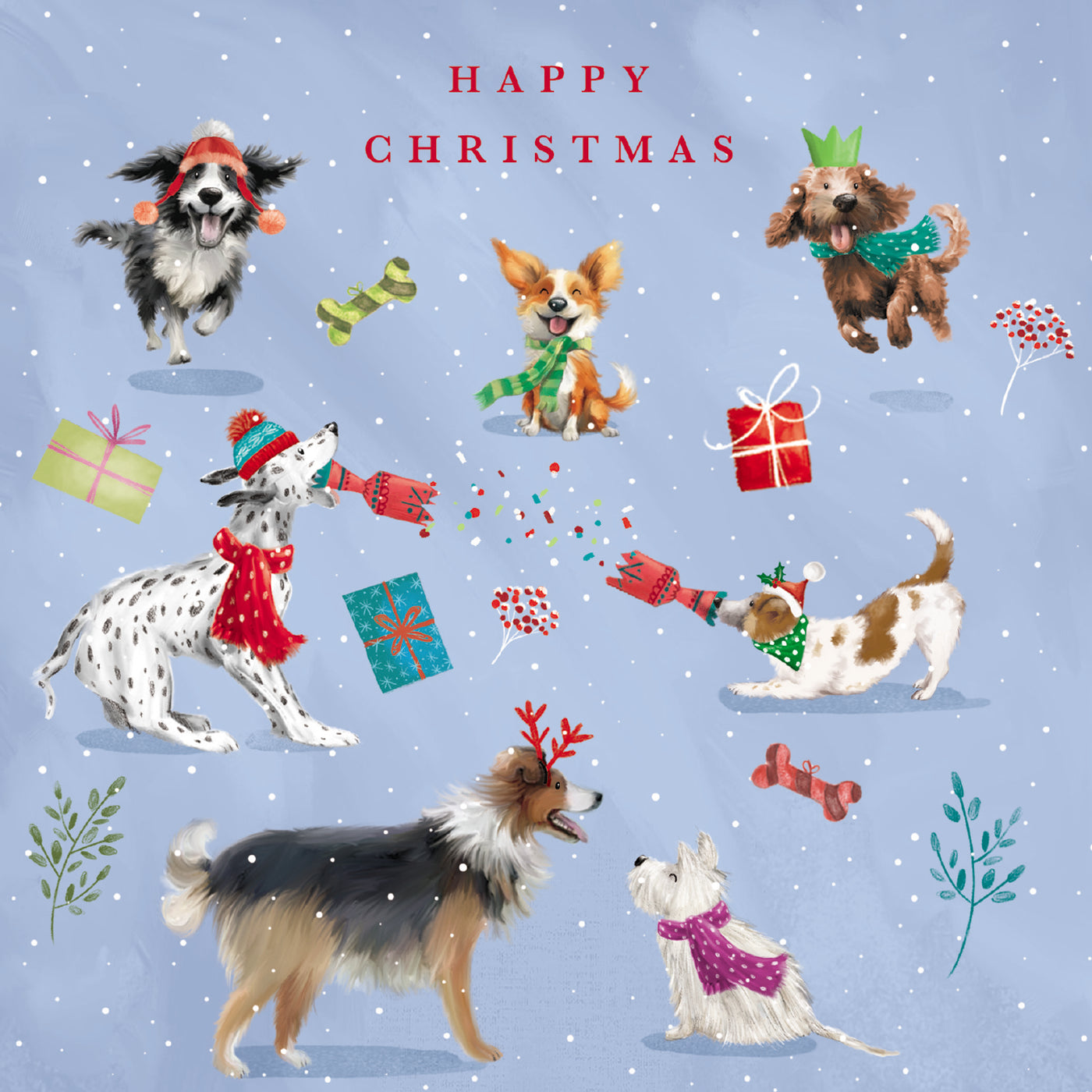 Christmas Capers - 10 Christmas Cards