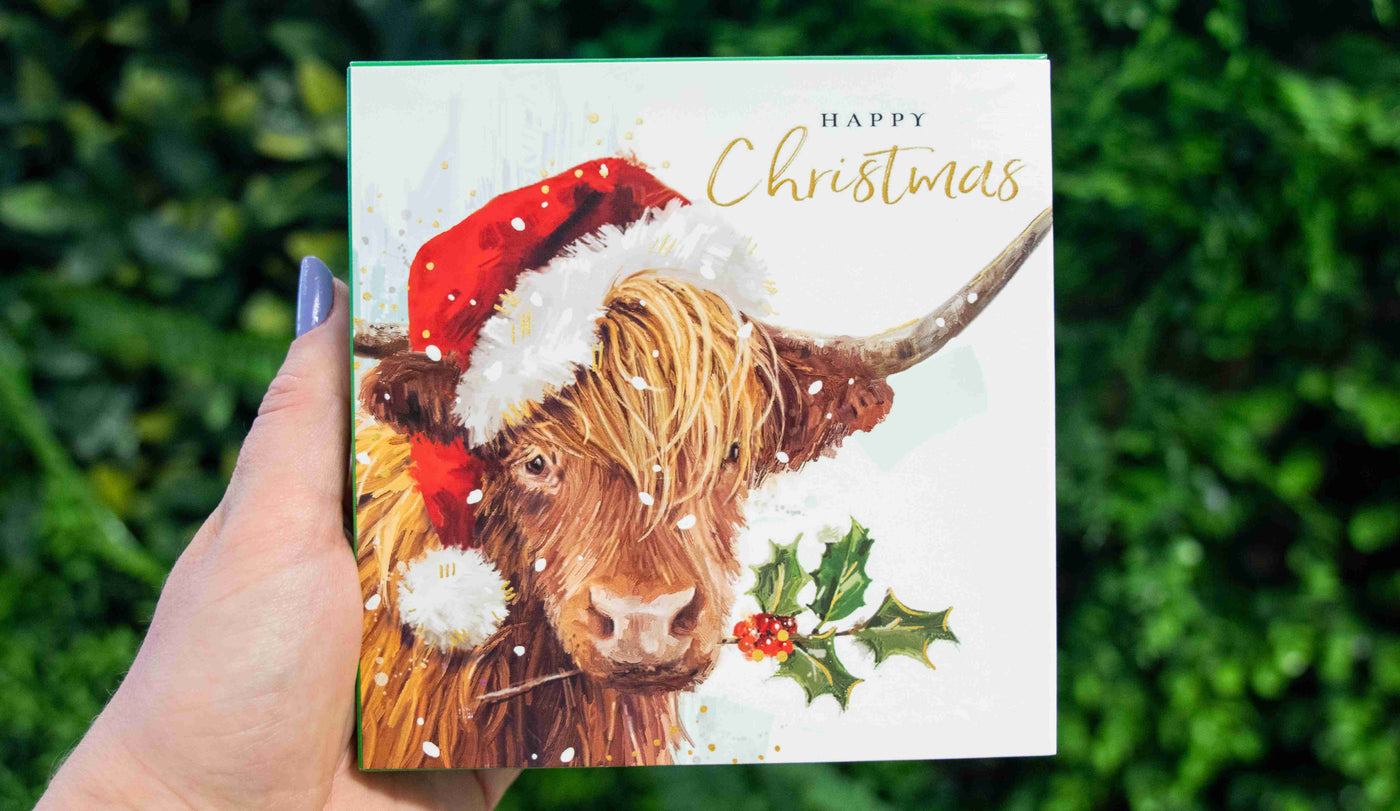 Christmas Cow - 10 Christmas Cards