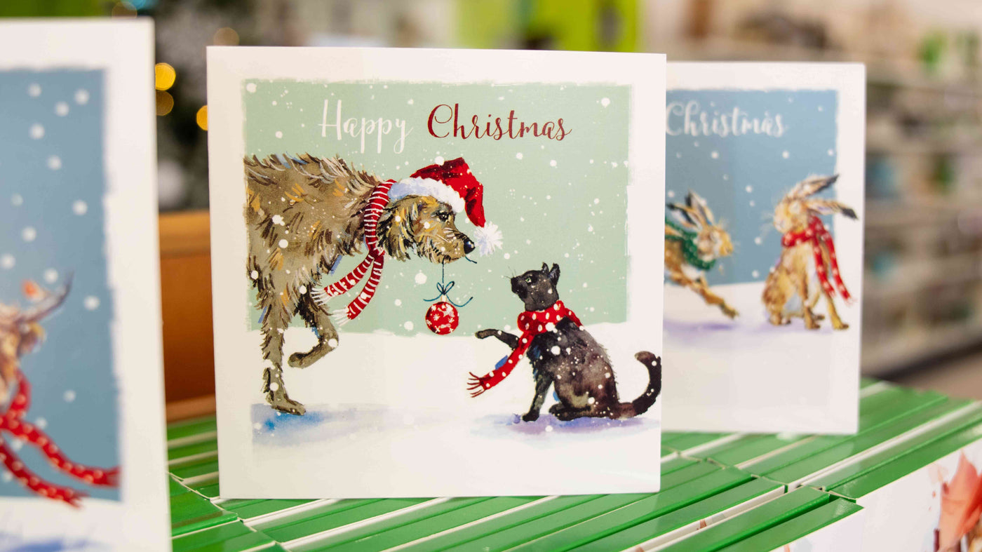 Multi Pack - 10 Christmas Cards