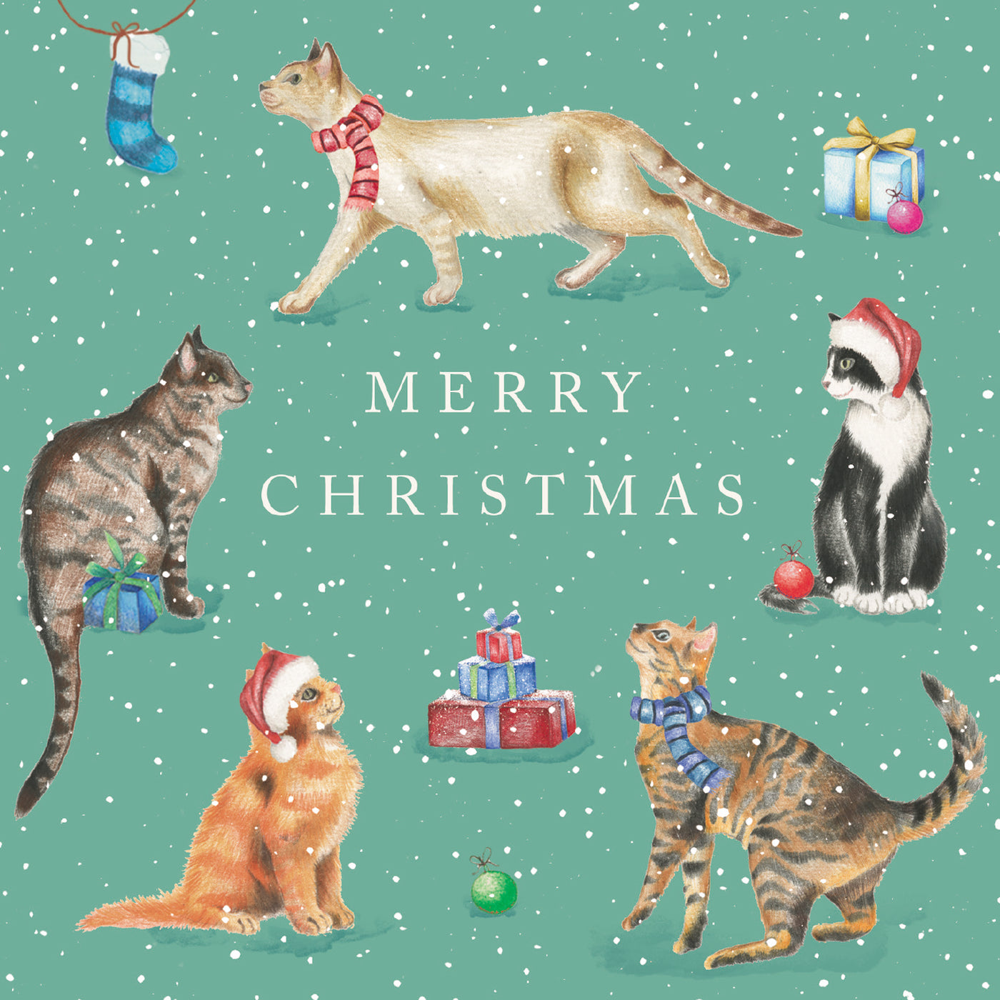 Purrfect Parade - 10 Christmas Cards