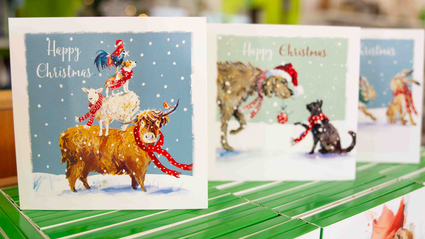 Multi Pack - 10 Christmas Cards