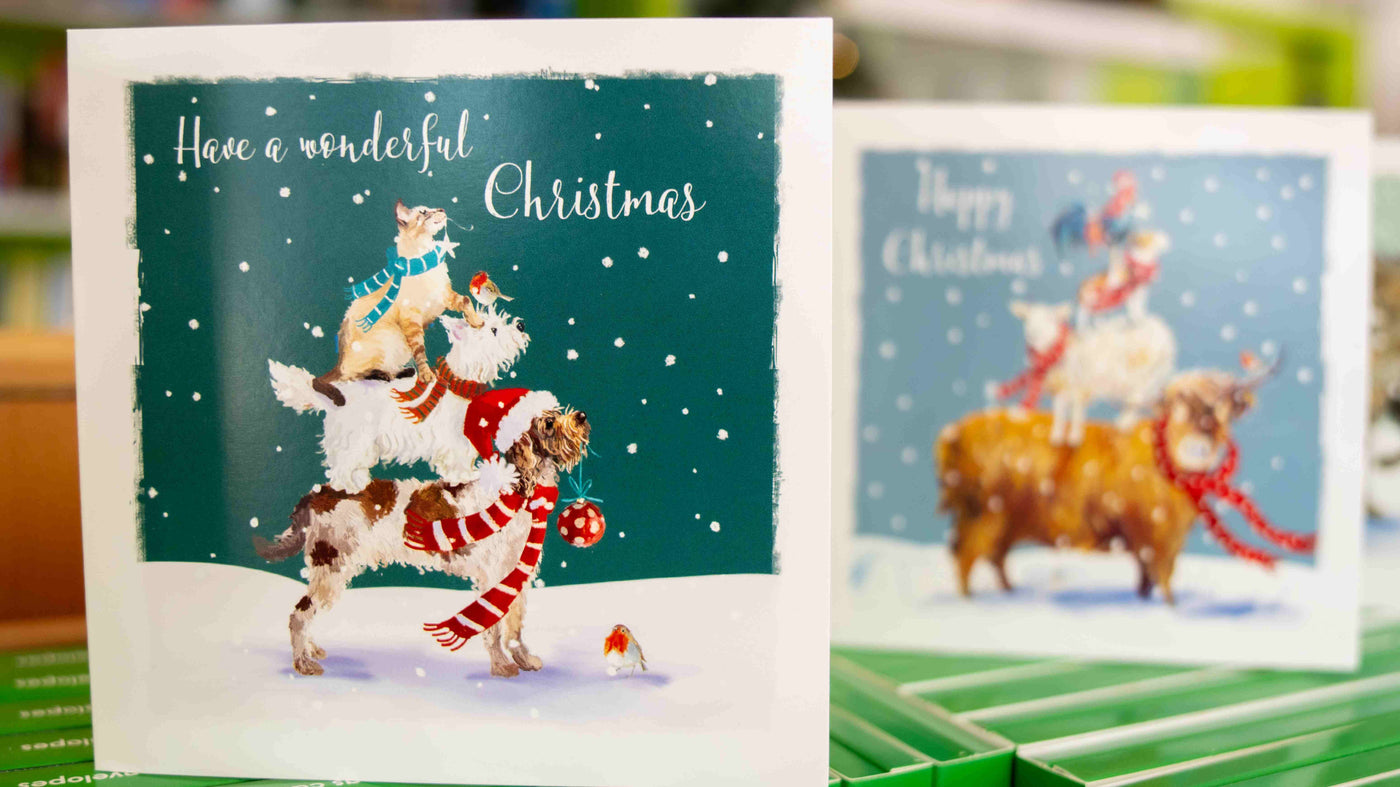 Multi Pack - 10 Christmas Cards